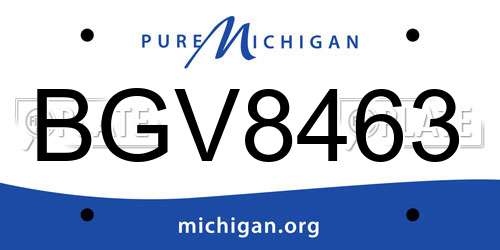 BGV8463 Michigan License Plate