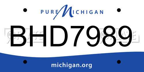 BHD7989 Michigan License Plate
