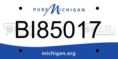 BI85017 Michigan License Plate