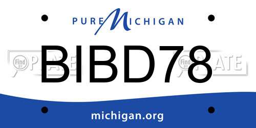 BIBD78 Michigan License Plate