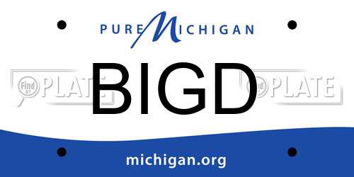 BIGD Michigan License Plate
