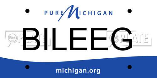 BILEEG Michigan License Plate