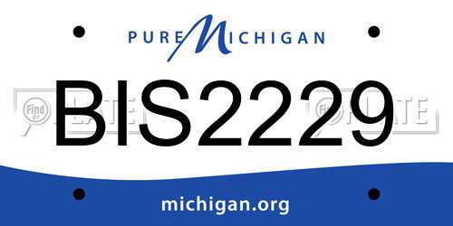 BIS2229 Michigan License Plate