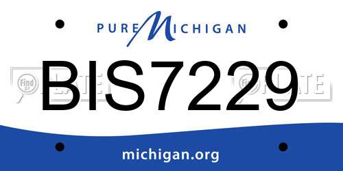 BIS7229 Michigan License Plate