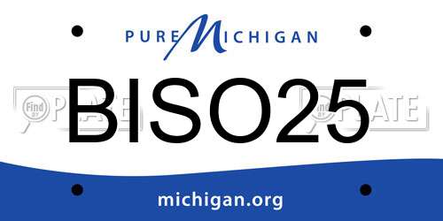 BISO25 Michigan License Plate