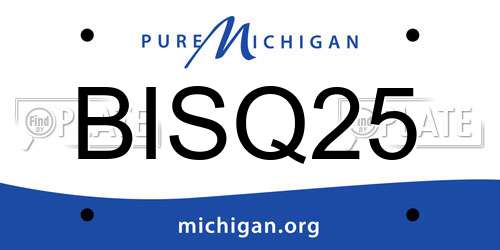 BISQ25 Michigan License Plate