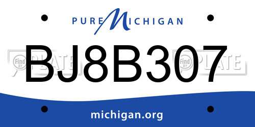 BJ8B307 Michigan License Plate