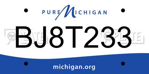 BJ8T233 Michigan License Plate