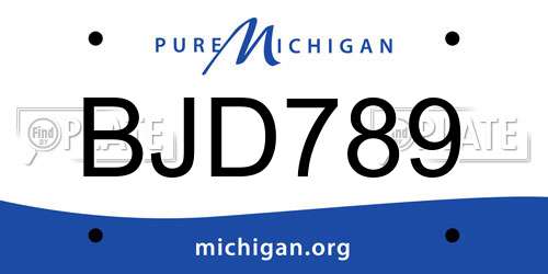 BJD789 Michigan License Plate