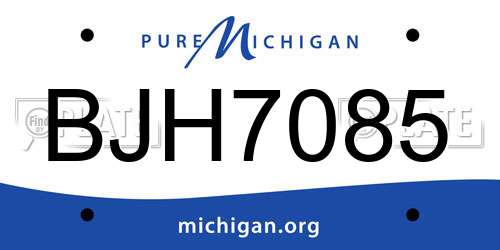 BJH7085 Michigan License Plate
