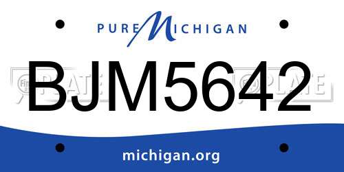 BJM5642 Michigan License Plate