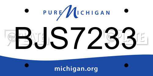 BJS7233 Michigan License Plate