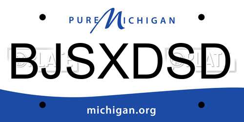 BJSXDSD Michigan License Plate