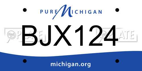 BJX124 Michigan License Plate