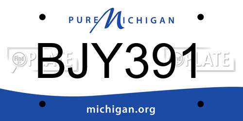 BJY391 Michigan License Plate