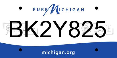 BK2Y825 Michigan License Plate