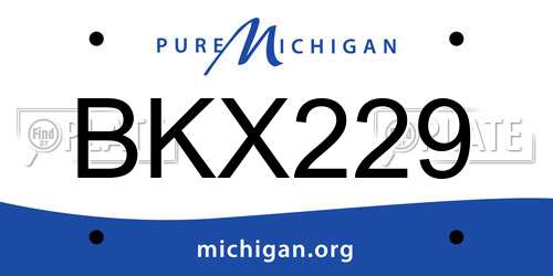 BKX229 Michigan License Plate