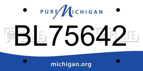 BL75642 Michigan License Plate