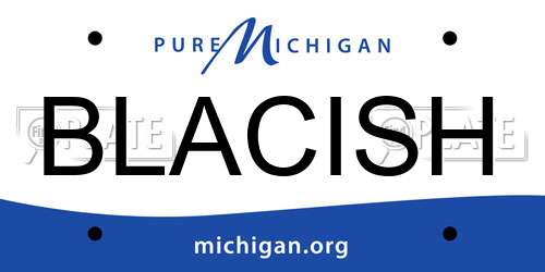 BLACISH Michigan License Plate