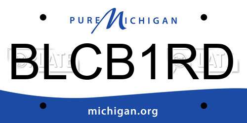 BLCB1RD Michigan License Plate