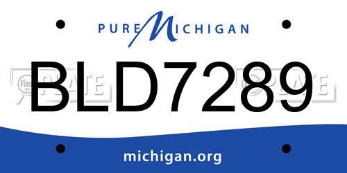 BLD7289 Michigan License Plate