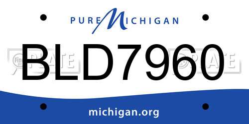 BLD7960 Michigan License Plate