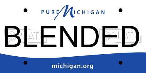 BLENDED Michigan License Plate