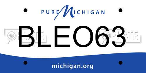 BLEO63 Michigan License Plate