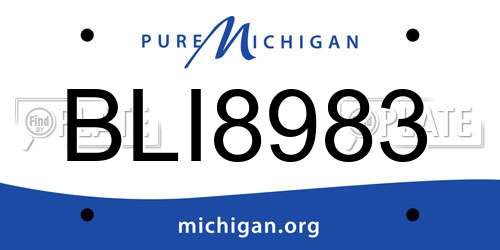 BLI8983 Michigan License Plate
