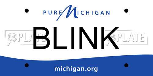 BLINK Michigan License Plate