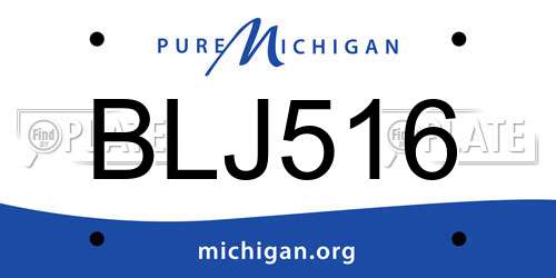 BLJ516 Michigan License Plate