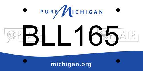 BLL165 Michigan License Plate