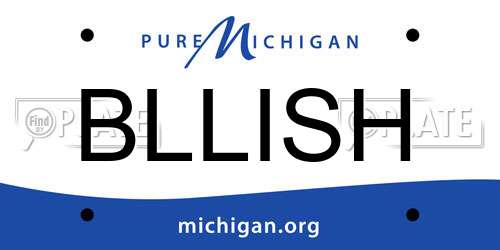 BLLISH Michigan License Plate