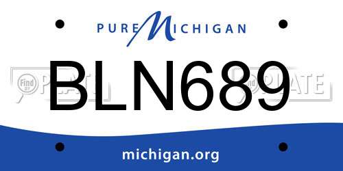 BLN689 Michigan License Plate