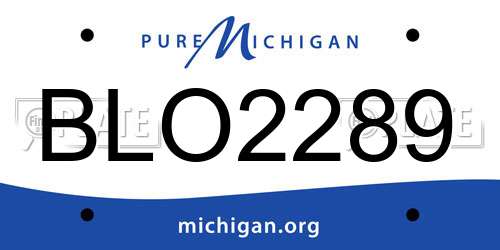 BLO2289 Michigan License Plate