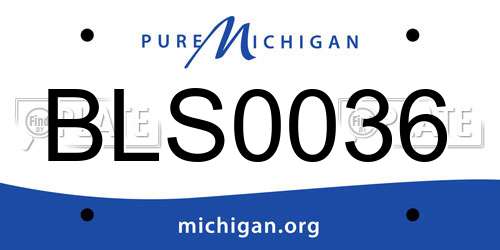 BLS0036 Michigan License Plate
