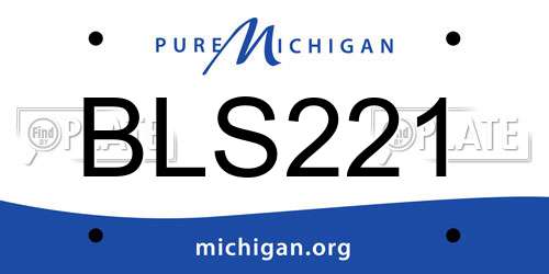 BLS221 Michigan License Plate