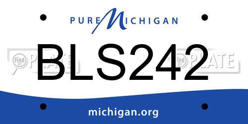 BLS242 Michigan License Plate