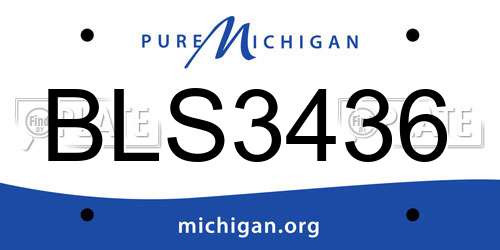 BLS3436 Michigan License Plate