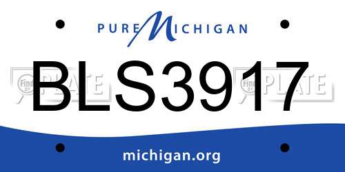 BLS3917 Michigan License Plate