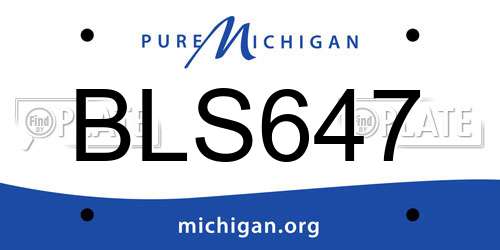 BLS647 Michigan License Plate