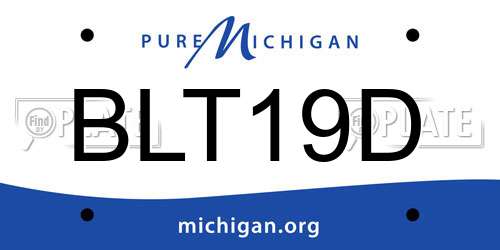 BLT19D Michigan License Plate