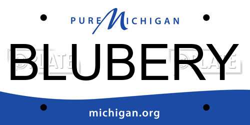 BLUBERY Michigan License Plate