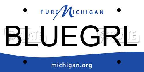 BLUEGRL Michigan License Plate