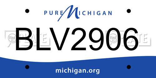 BLV2906 Michigan License Plate