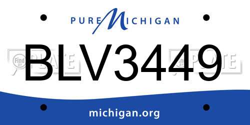 BLV3449 Michigan License Plate