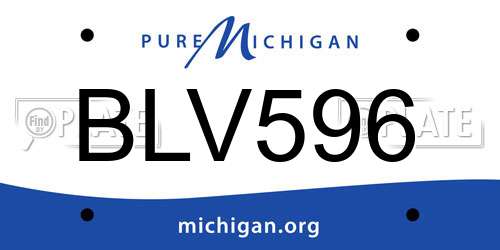 BLV596 Michigan License Plate