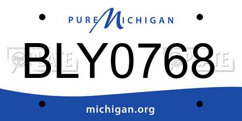 BLY0768 Michigan License Plate