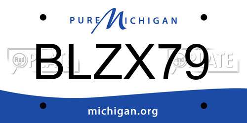 BLZX79 Michigan License Plate