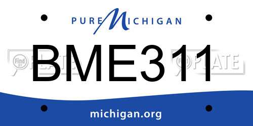 BME311 Michigan License Plate